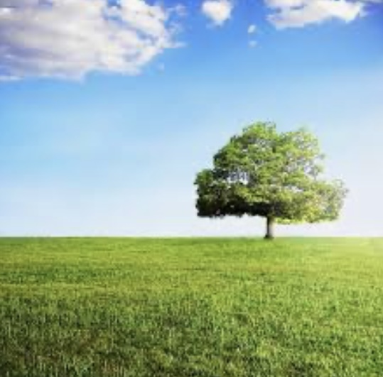 ✴︎リニューアルOPEN延期のお知らせとお詫び✴︎