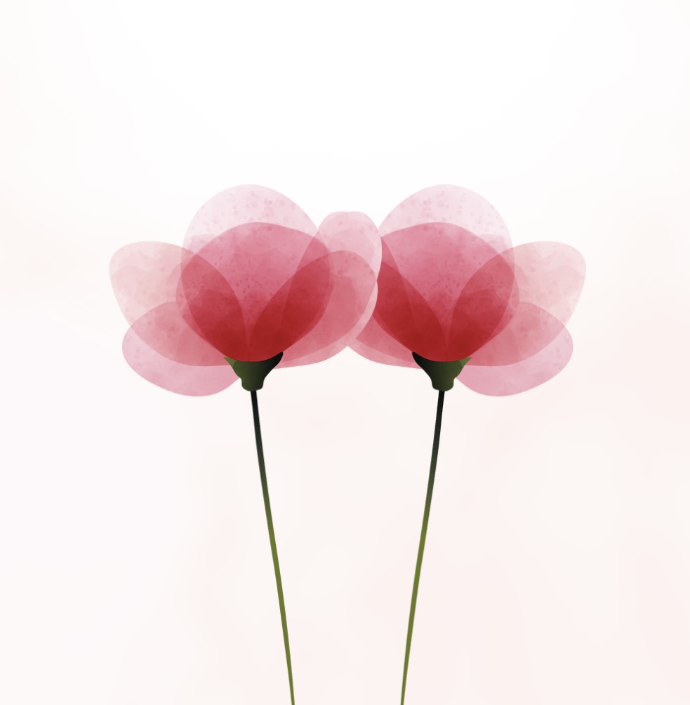 ✴︎リニューアルOPENのお知らせ✴︎