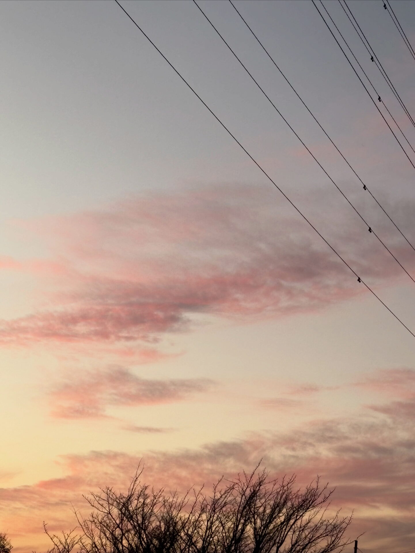 ピンク色の空✨