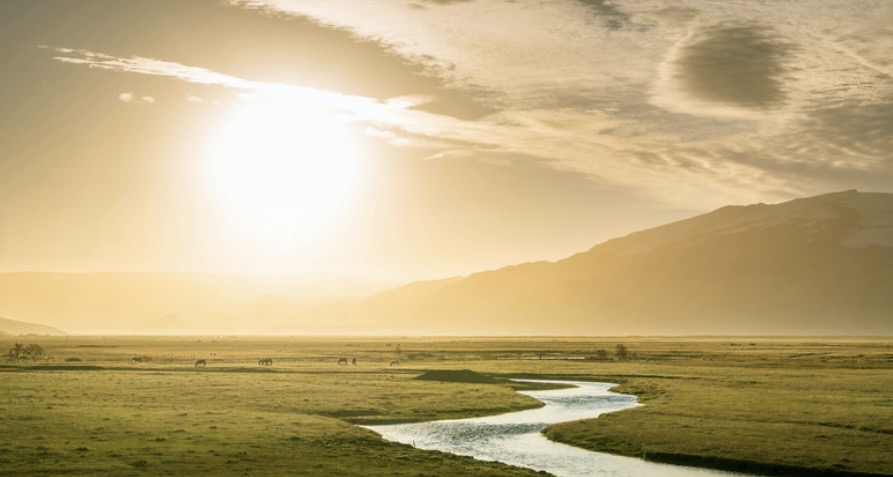 『波動上がりました!』
