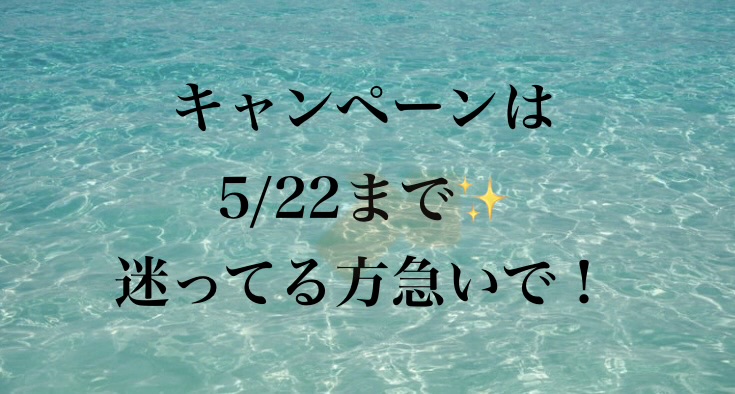 キャンペーン期間